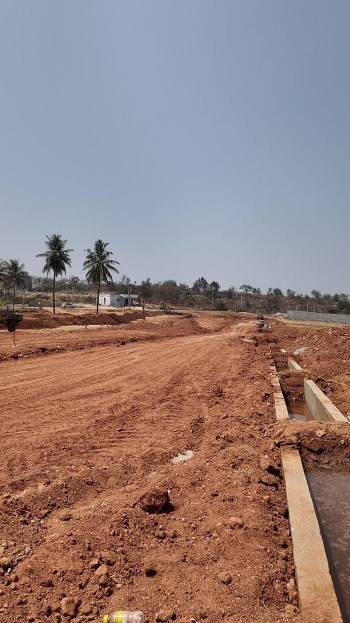 Site view