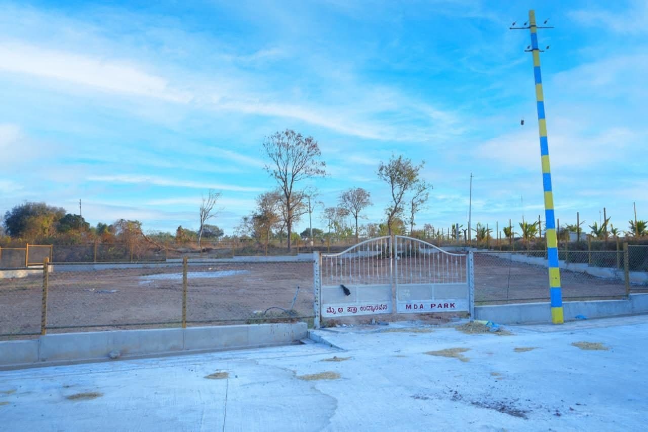 Site view