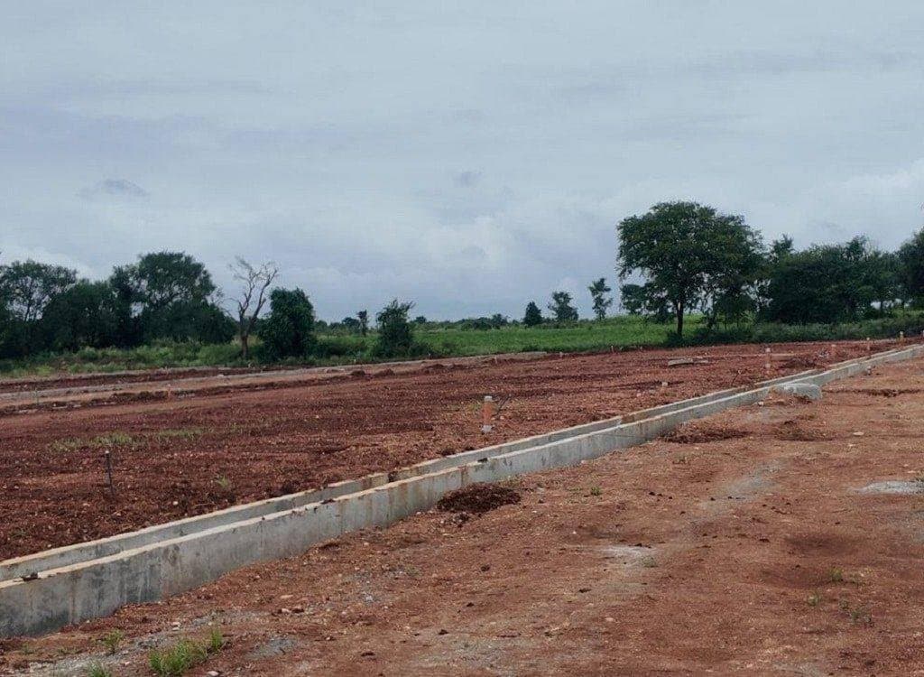 Site view