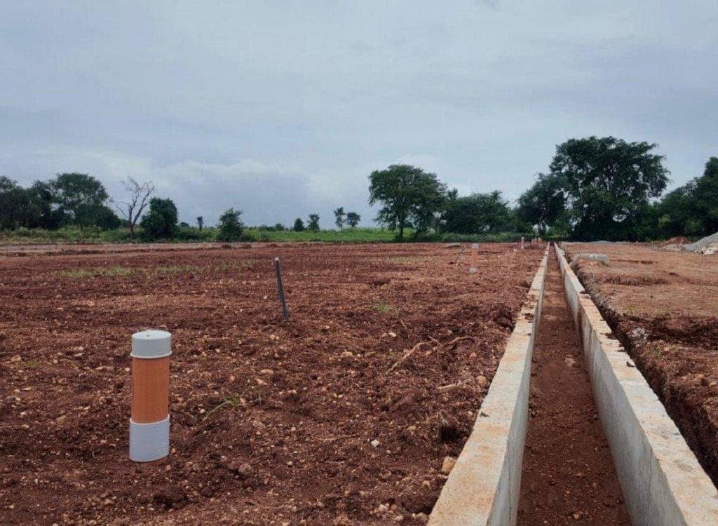 Site view